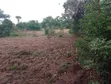 Large Land for Sale in Boroboro, Lira - 3