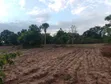 Large Land for Sale in Boroboro, Lira - 4