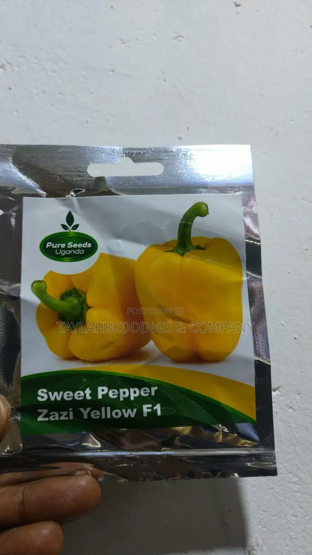 Yellow Sweet Bell Pepper Seeds (5g Packet) - 1