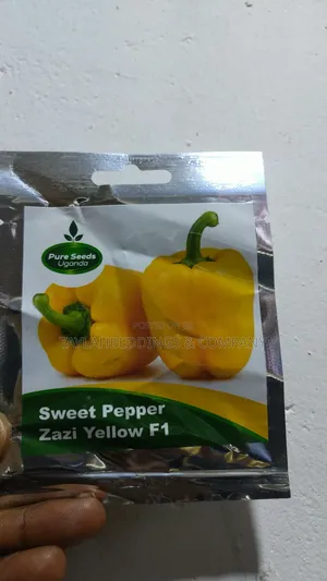 Yellow Sweet Bell Pepper Seeds (5g Packet)