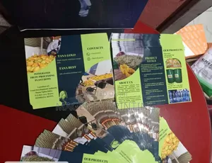 Brochure Printing and Designing Services