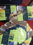Brochure Printing and Designing Services - 2