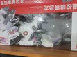 Remote Control Dinosaur Toy - 1