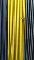 Grey and Yellow Matching Curtains - 2