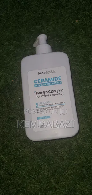 Face Facts Ceramide Blemish Clarifying Foaming Cleanser 400ml