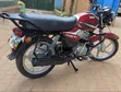 TVS HLX 125 2023 Red - 2