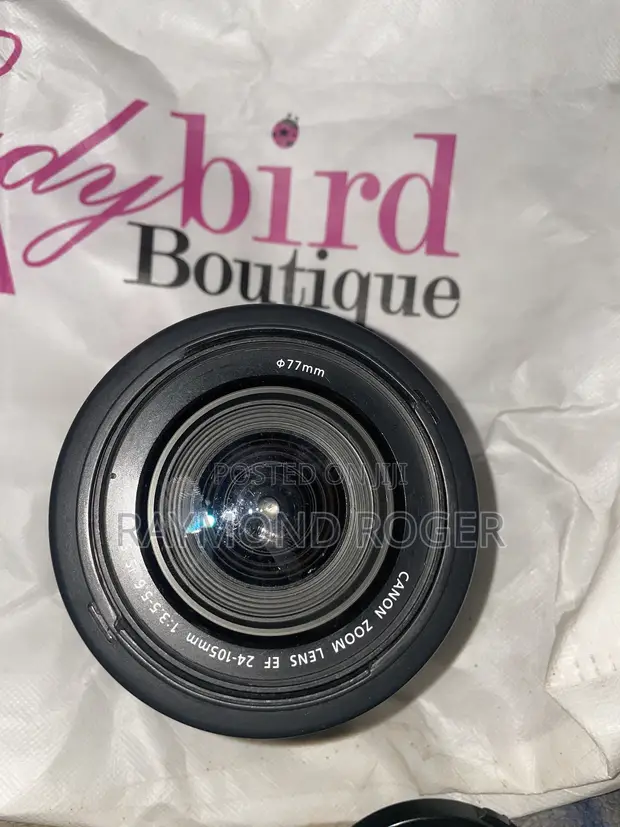Canon EF 24-105mm Zoom Macro Lens - 1