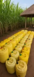 Ethanol (Alcohol/Waragi) Made From Sugarcane - 2