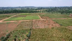 Residential Plot for Sale in Wakiso-Kakiri Magogo