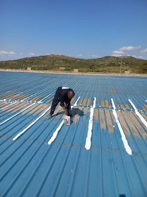 Industrial Roof Waterproofing & Repainting