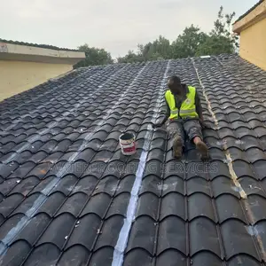 Residential Roof Waterproofing & Repainting Services