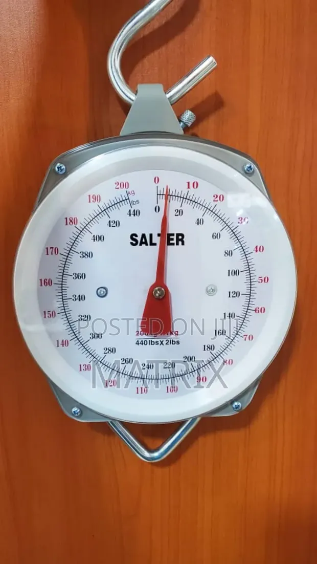Salter Light Duty Weighing Scale - 1