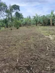 Plot for Sale in Mbale - 1
