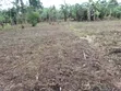 Plot for Sale in Mbale - 2