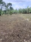Plot for Sale in Mbale - 4