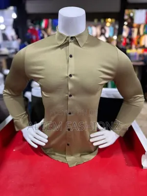 Polo Brand Men's Casual Shirts