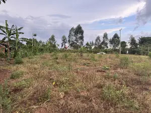Nakifuma-Magogo Kigagga Estate Plots Available