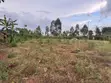 Nakifuma-Magogo Kigagga Estate Plots Available - 1