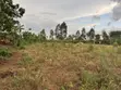 Nakifuma-Magogo Kigagga Estate Plots Available - 2