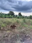 Nakifuma-Magogo Kigagga Estate Plots Available - 4
