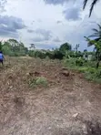 Nakifuma-Magogo Kigagga Estate Plots Available - 5