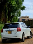 Toyota Allex 2006 White - 4