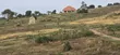 Namayumba Estate Premium Private Plots - 1