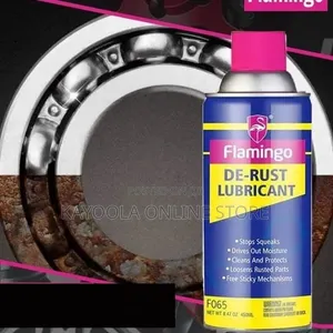 Anti-Rust Spray with Long-Lasting Protective Coating