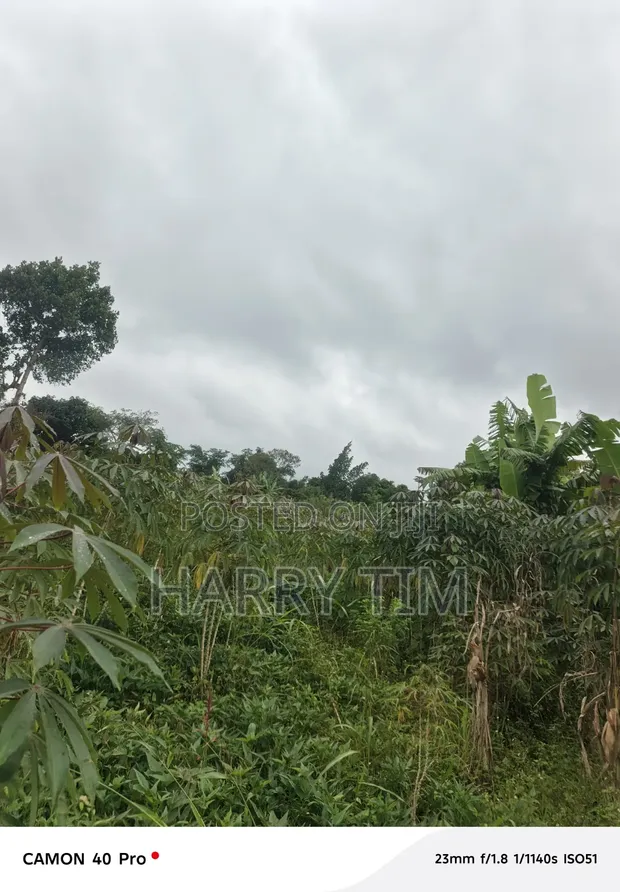 1 Acre Land for Sale in Kibibi, Butambala - 1