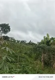 1 Acre Land for Sale in Kibibi, Butambala - 1