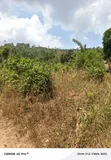 1 Acre Land for Sale in Kibibi, Butambala - 2