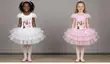 ESS Ballet Dresses - Brand New - 1