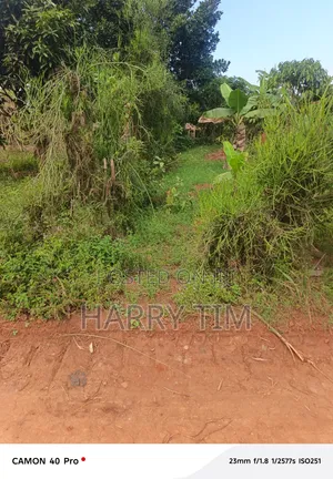 Plot for Sale: 50x100ft, Sentema Rd, Lukwanga