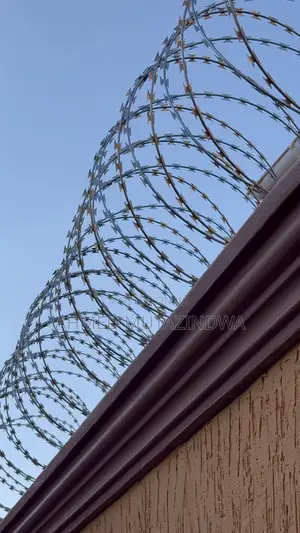 Razor Wire Fencing (8m)