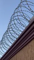 Razor Wire Fencing (8m) - 1