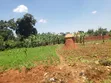 Commercial Plot for Sale, Kitagobwa 50x100ft - 3