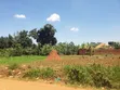 Commercial Plot for Sale, Kitagobwa 50x100ft - 5