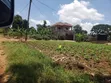 Plot for Sale in Mpelerwe Kitezi - 3