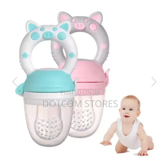 Baby Fruit and Food Feeder Pacifier - 1