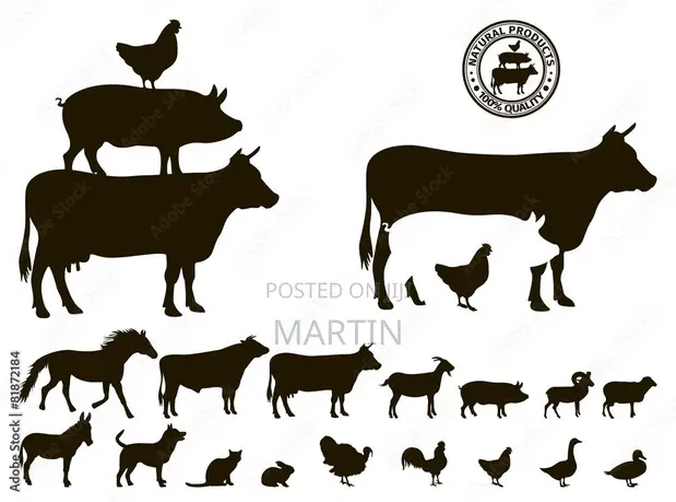 General Farm Project Manager - 1