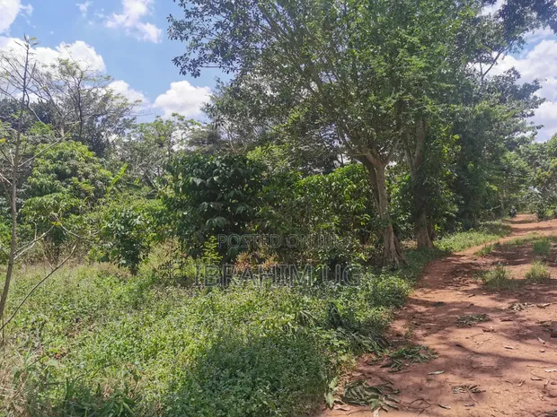30 Acres Land for Sale in Seeta-Namuganga - 1