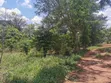 30 Acres Land for Sale in Seeta-Namuganga - 1