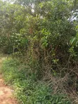 30 Acres Land for Sale in Seeta-Namuganga - 4