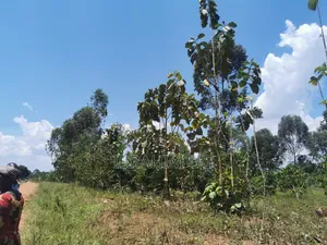 10 Acres Land for Sale in Mukono Seeta-Namuganga