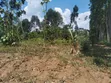 10 Acres Land for Sale in Mukono Seeta-Namuganga - 2