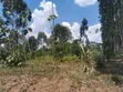 10 Acres Land for Sale in Mukono Seeta-Namuganga - 3