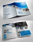 Bulk Bifold and Trifold Brochure Design & Printing - 1