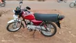 Bajaj Boxer 100 2025 Red - 4