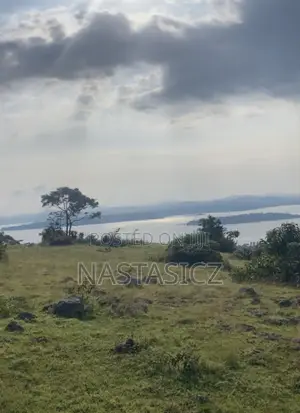 10 Acres Lake View Land for Sale, Nkokonjeru