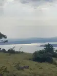 10 Acres Lake View Land for Sale, Nkokonjeru - 2